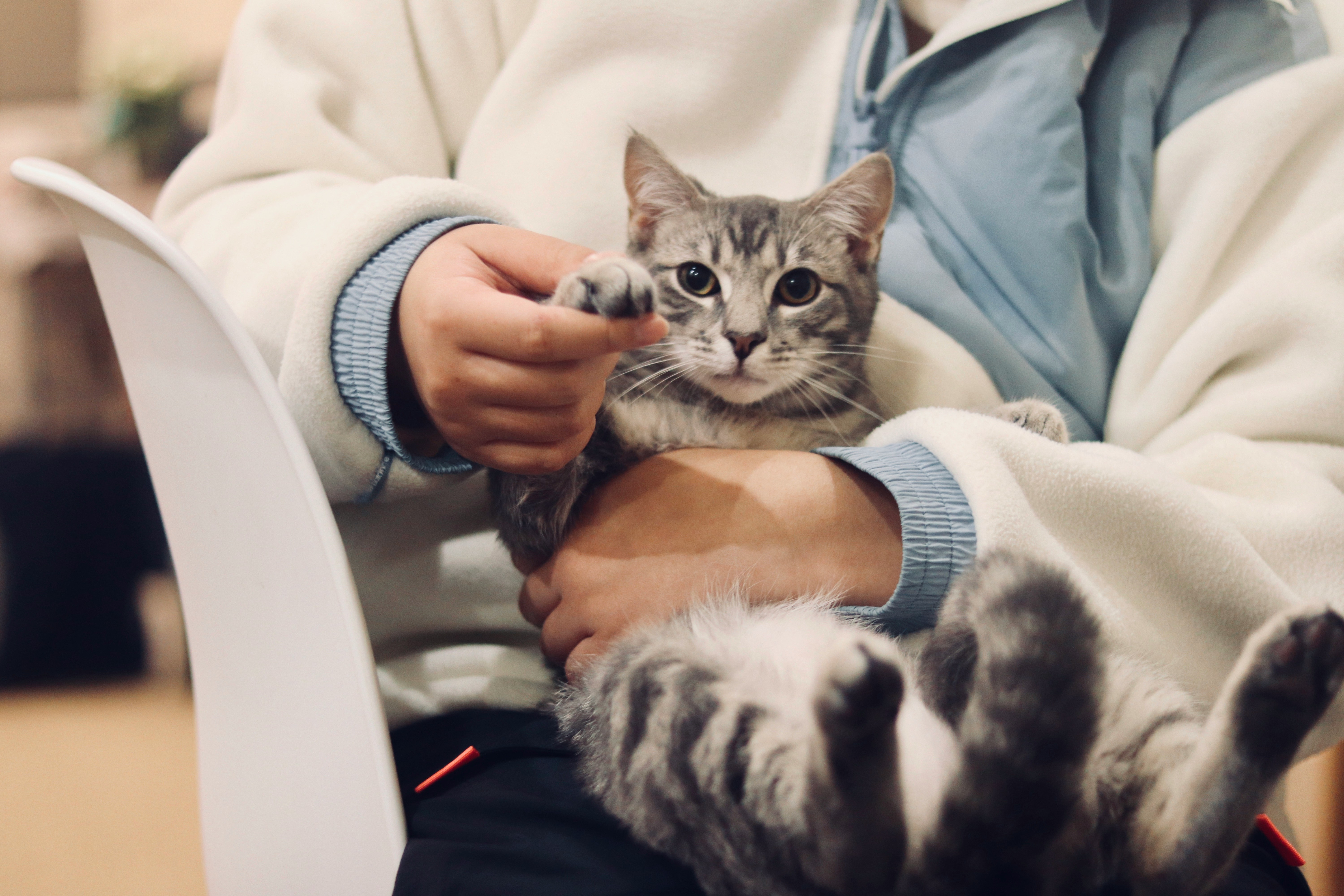 How to Choose a Veterinarian (Without Second-Guessing Yourself)