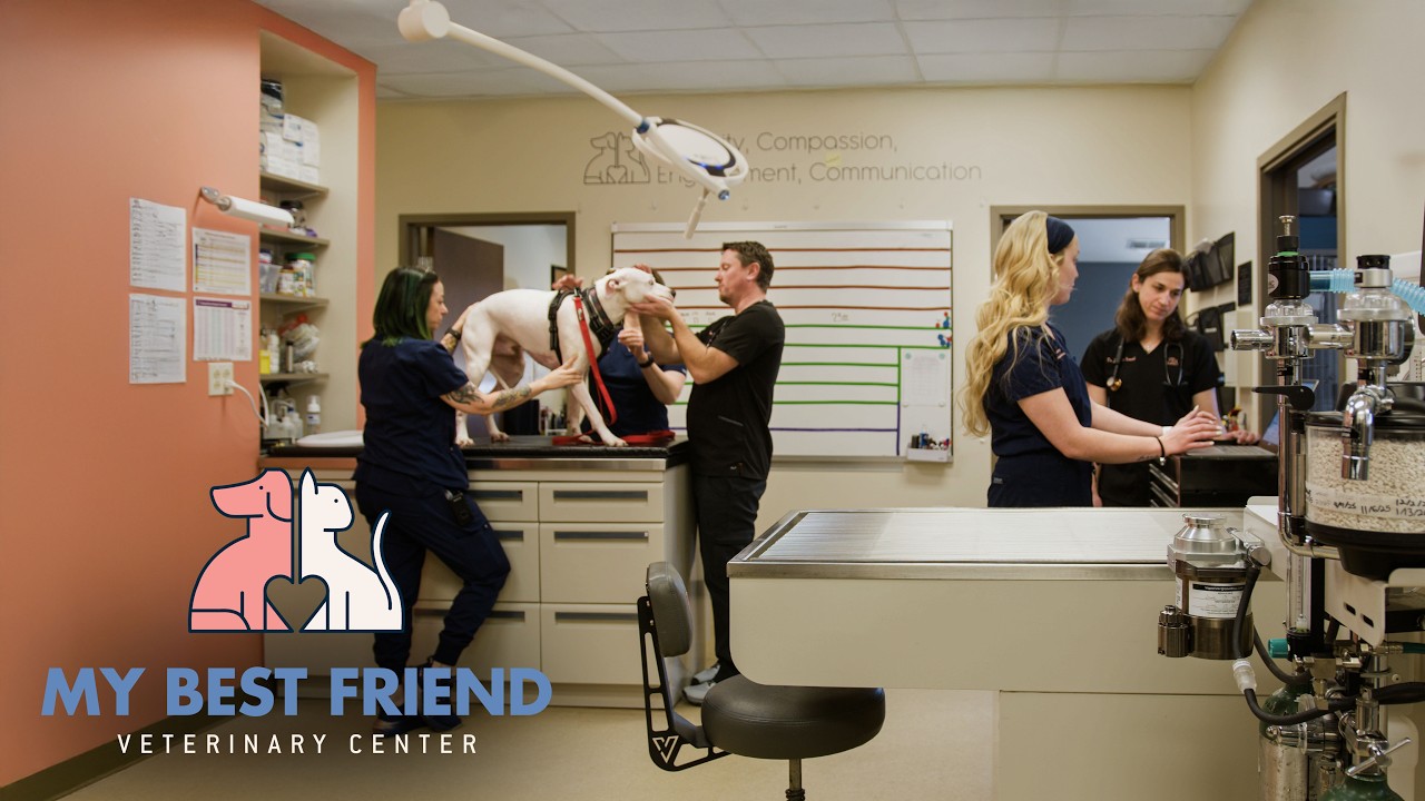 My Best Friend Veterinary Center
